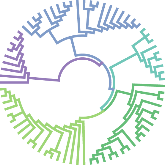 What is a phylogenetic tree maker?